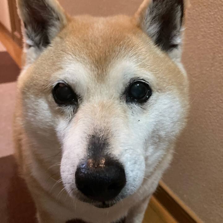 Bf40e197 0f26 4bce 9ba0 8f3282ac1a16 1651891080329