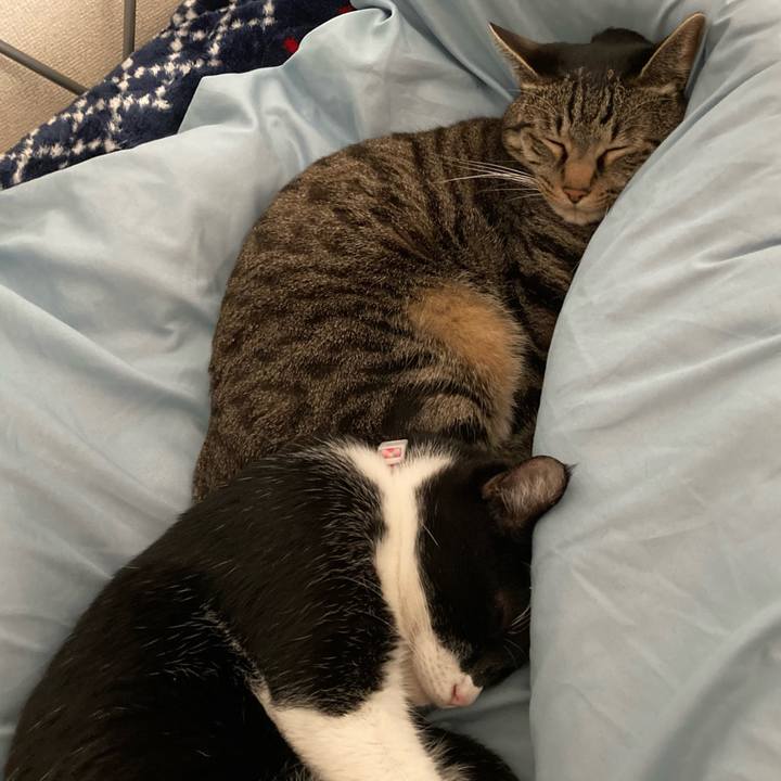 Bf40ea0a ad5b 47bc 8c65 32fdb03ed580 1613139232607