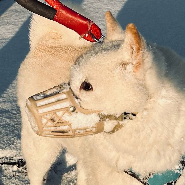 Bf40efa3 b035 46d5 973b 6ee4c29e93bd 1773009418989