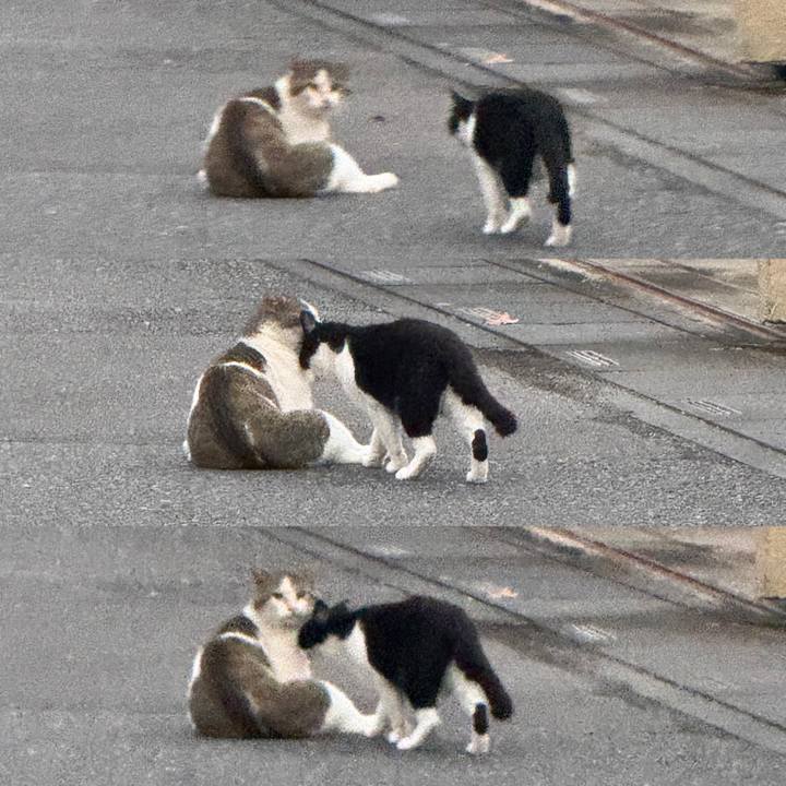 Bf40f4f8 5a51 4f7e a408 9d4e1dd8f944 1755569891674