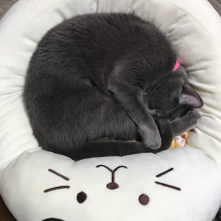 Bf40ff9d f84a 4ab8 9780 7d68e4ce66b3 1552395447141