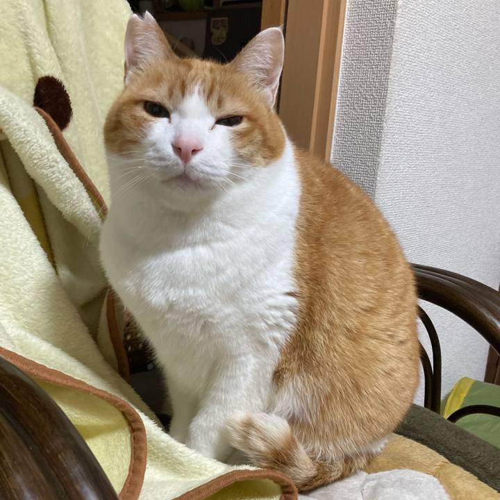 Bf4111db 6466 4527 b9ab 0b28a21076e9 1775216768354