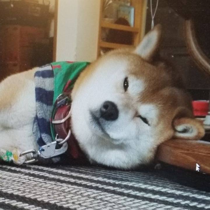 Bf412030 df04 4e45 82d3 c11eb9ff0625 1676249485087