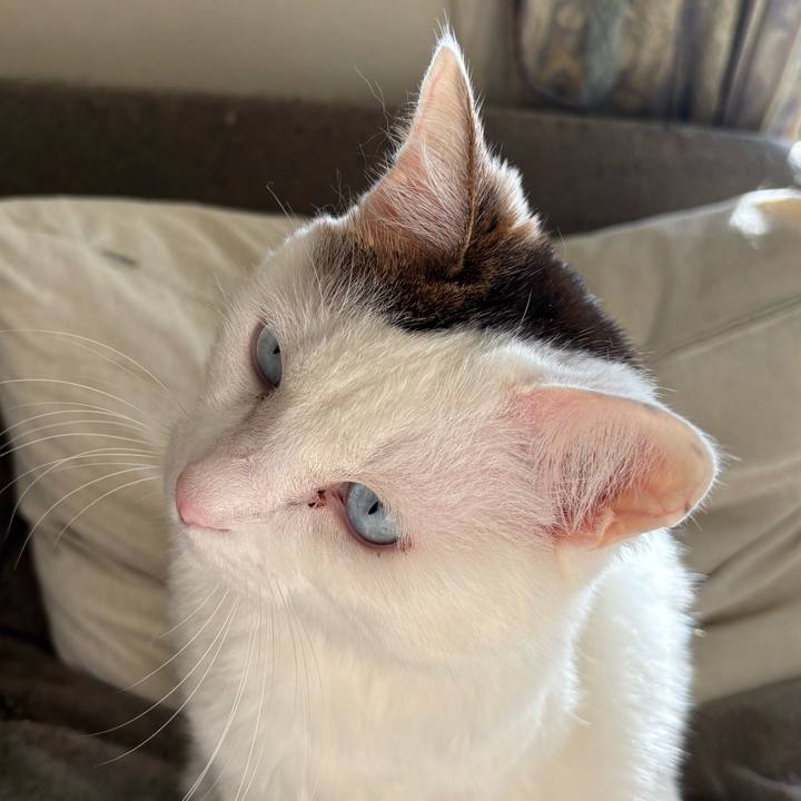 Bf41234c 0cf0 425a a41c 5074b55a70b1 1769817412264