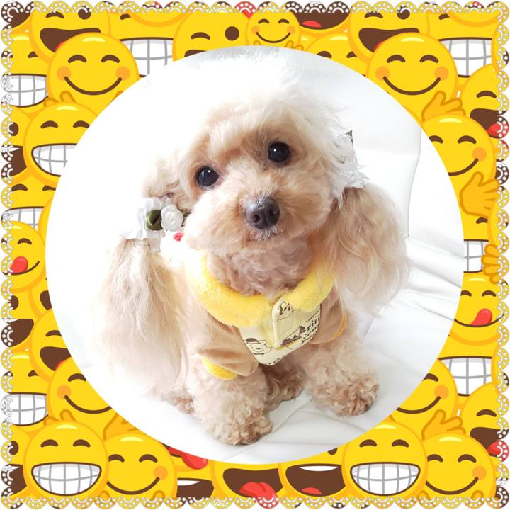 Bf412b54 5d04 4f31 97cf 498c8f2aaace 1578385207500