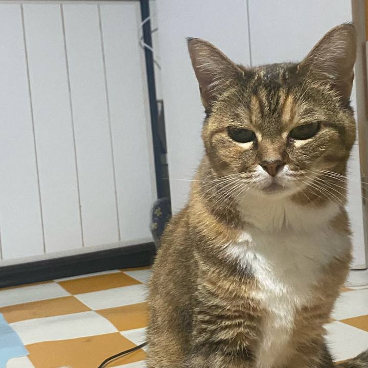 Bf412c28 e7cd 49f2 8c81 1846c76fcb32 1719119657629