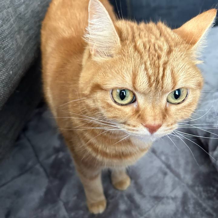 Bf413304 062b 40bd 9b4b a4def6dd0014 1681032762576