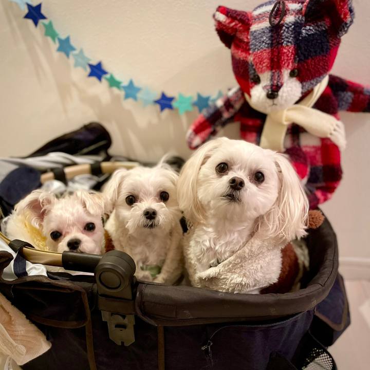 Bf413429 fbcc 4aa0 847d c55b917e8de7 1644485162196