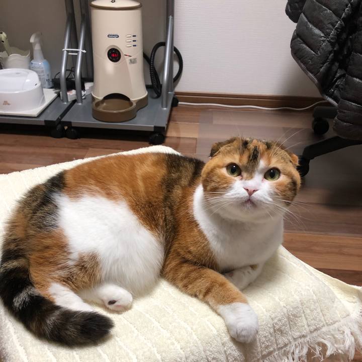 Bf416978 5470 4319 b9f8 a59e8dddef21 1548488180881