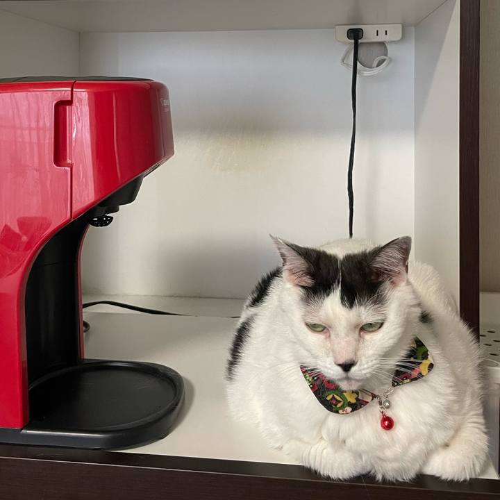 Bf418d1b 0ab9 493b addc a4cd349f3eb2 1657755104767