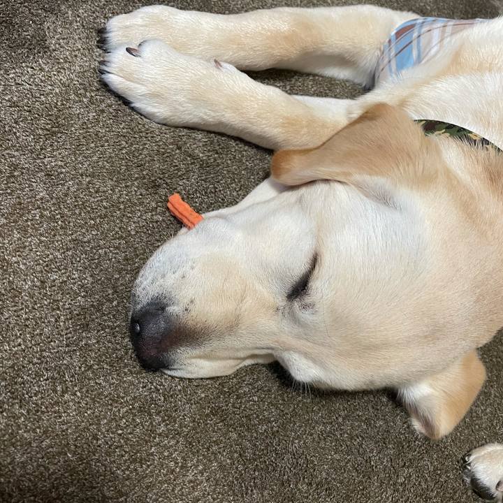 Bf41afe3 6ec9 409c 8f7a 472b49d89f46 1621070453330