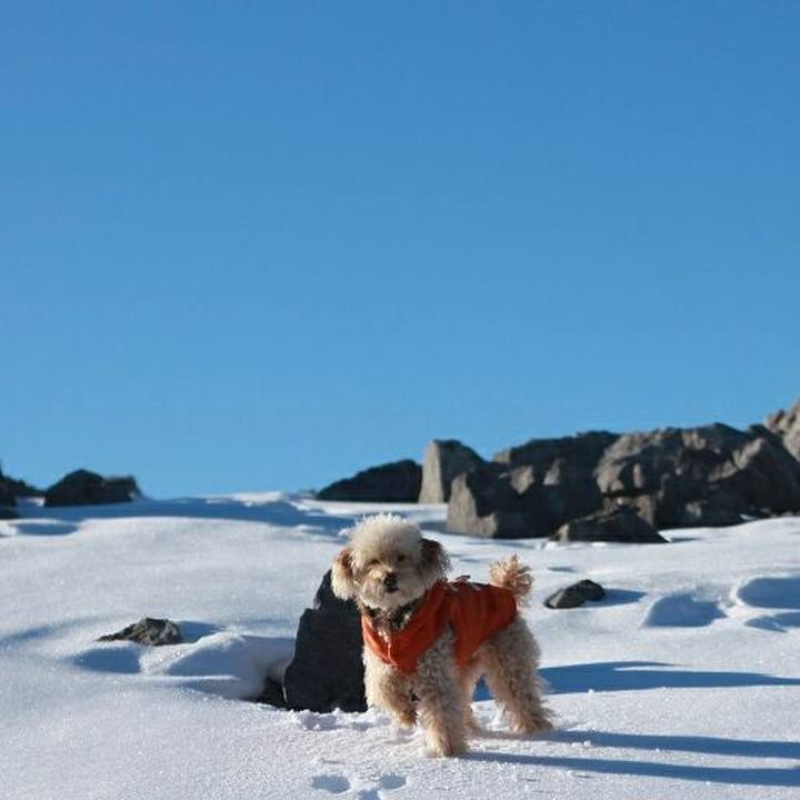 Bf41cbee afa2 49da b134 a02de9fa523b 1578925359358