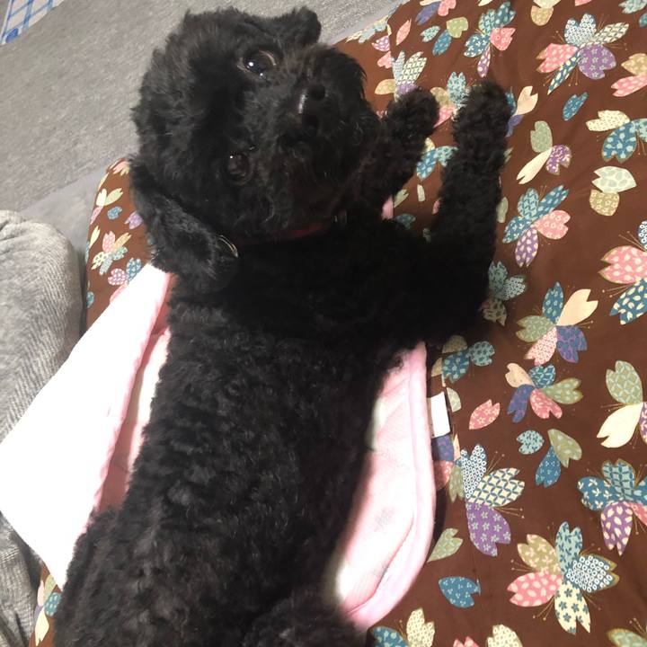 Bf41cf98 86f3 4659 a080 671388214774 1597890606274