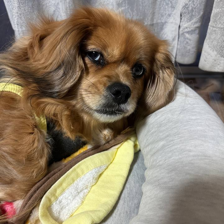 Bf41e4de ae2f 42a8 85fa 8a99df14a618 1677707953852