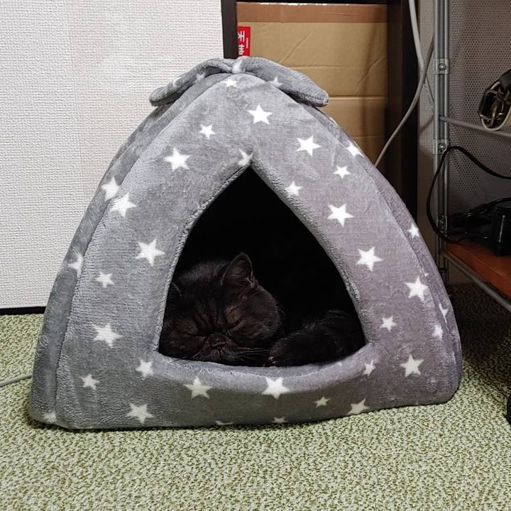 Bf4222d6 3dfc 4633 b108 8e1d5048f713 1637439658353