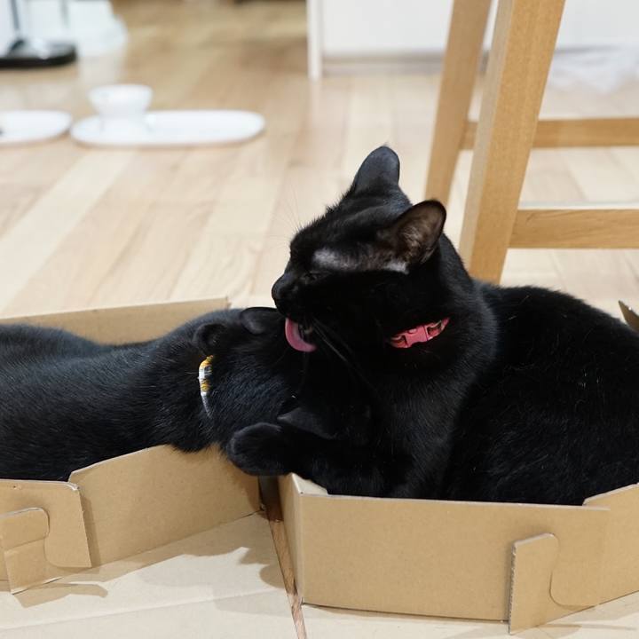 Bf422b5e d8d0 432b a676 57d48a085d3e 1558796771161