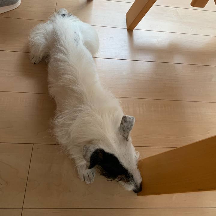 Bf426c0f b8d7 4c02 be59 df70b9ae9b16 1685868551405