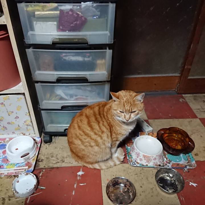 Bf42838a 5324 49d8 bc41 61a939842f82 1581195039065