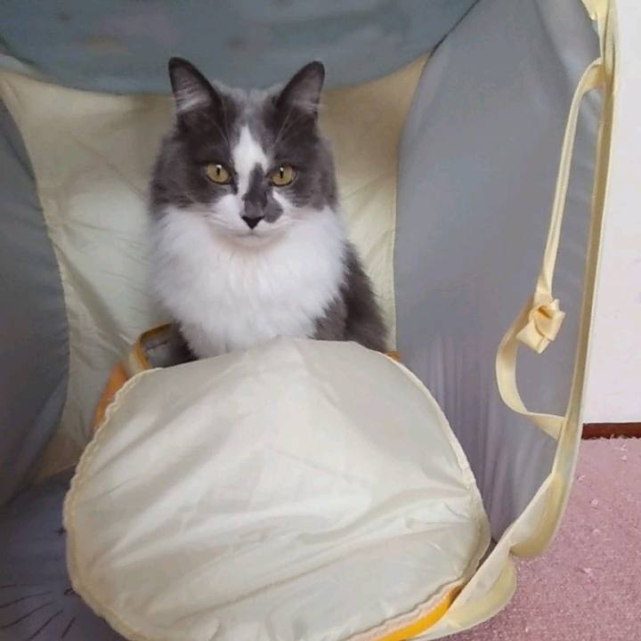 Bf42922d 00c1 4a47 8757 35c975e84707 1670984802793