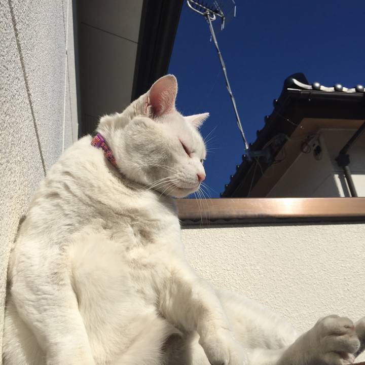 Bf42c1ca 1dd6 4d4f 922a a657980f8285 1546313415034