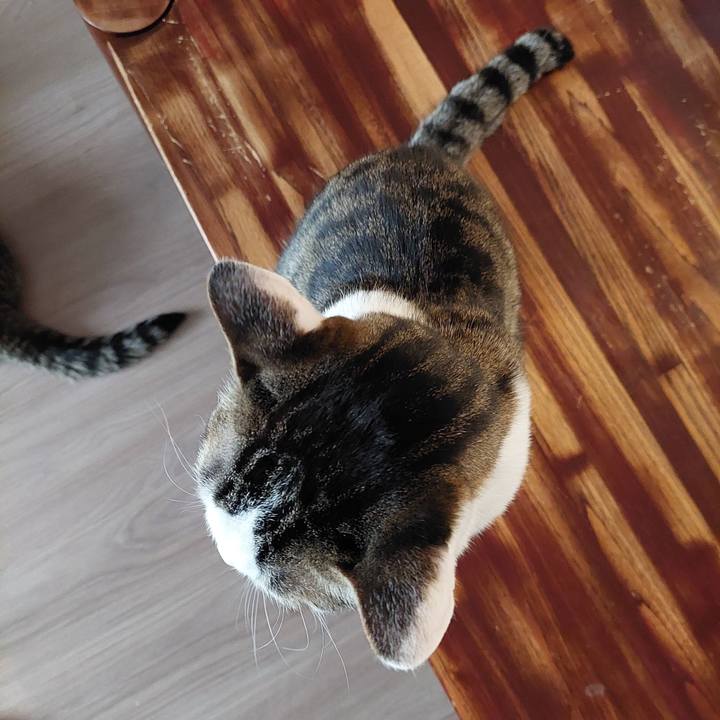 Bf42ea38 b7d5 446b b02f a2b8183c320f 1645603297180