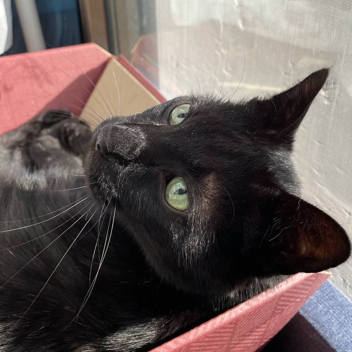 Bf42fff1 ba9b 4a82 8668 19251f9487b4 1618016352206