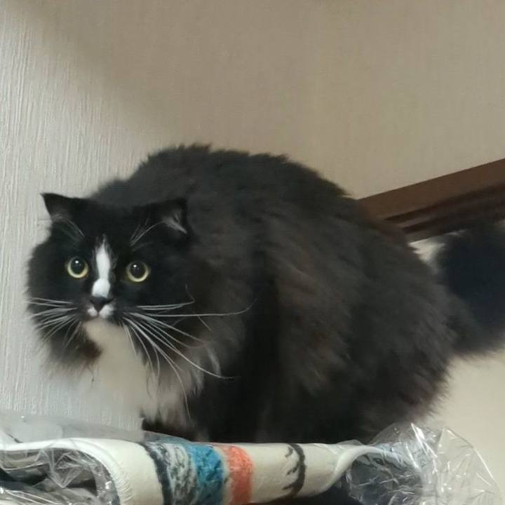 Bf430557 d217 4733 8e56 d1f3db421141 1722807078595