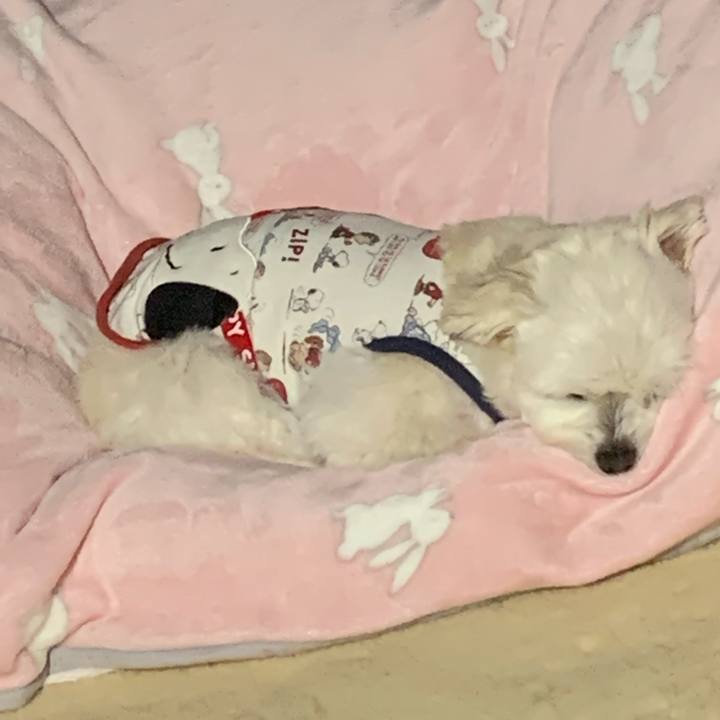 Bf432cc8 3811 452f beaa 0227d4f6b6db 1646116557667