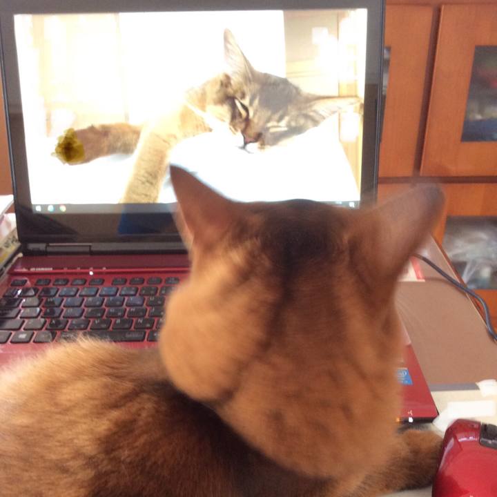 Bf432fe9 77c1 40cd 9b1b b1c241d02d02 1613538521447