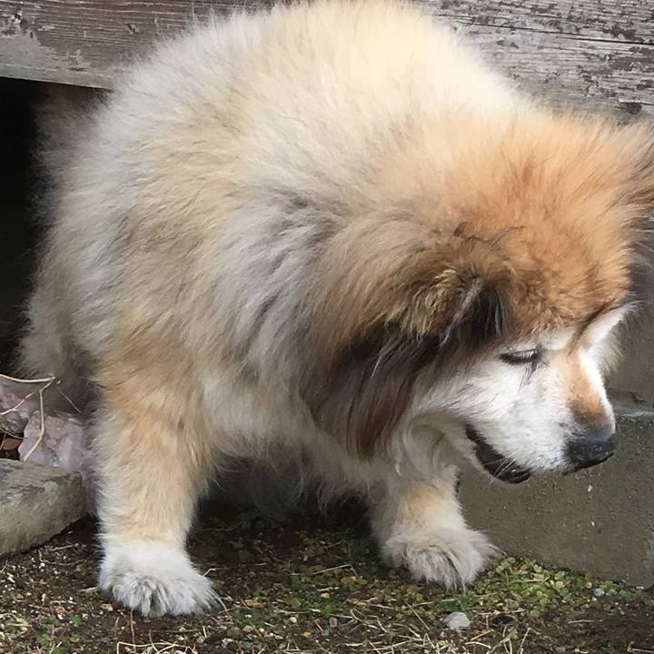 Bf434478 279b 47fa 836c 9ee30553ccd8 1661792792519