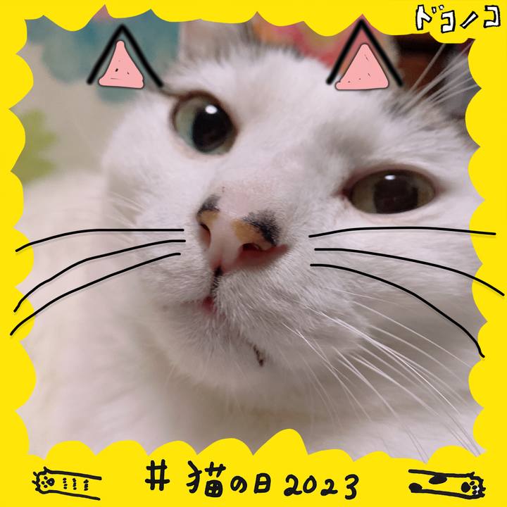 Bf434848 f603 4b32 9db6 07c911edf635 1677064604954