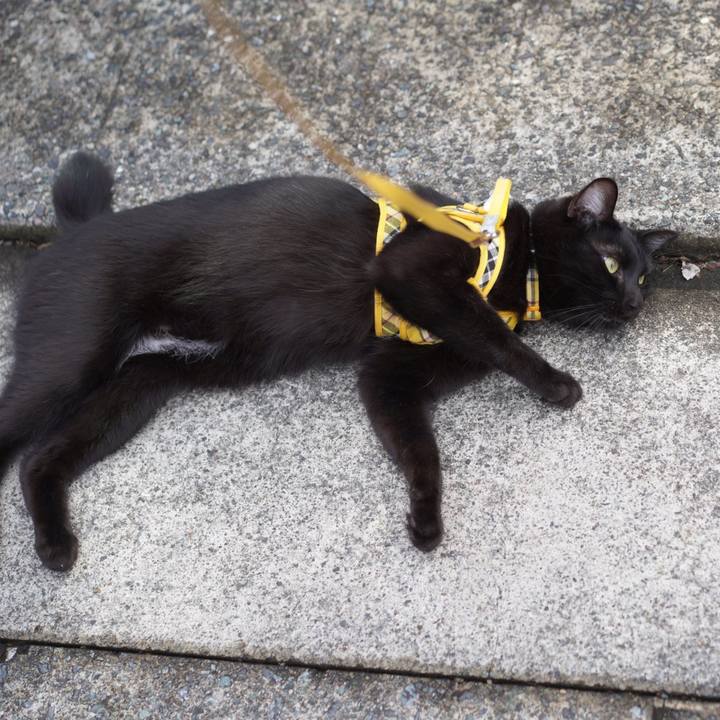 Bf434d65 881a 43f2 9715 6db23db2425e 1582336374532