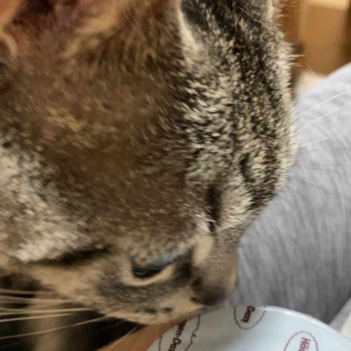 Bf436a6a ec7f 4973 b82e 657ecf7882de 1630420071119