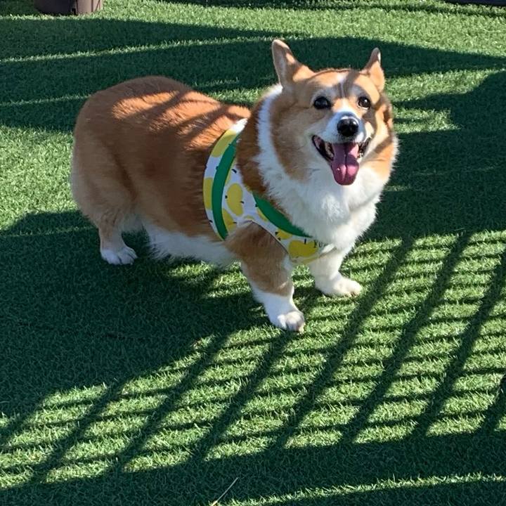 Bf43938a b026 4320 a8c0 435b29255e6d 1705483372110