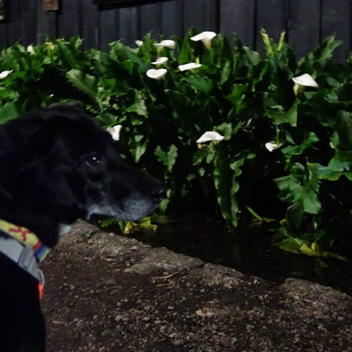 Bf43b0b0 b12b 4f7b bcaa c7ecb6e69fd6 1712574289182