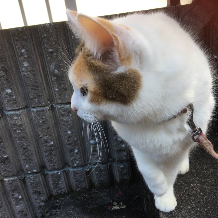 Bf43b5d4 7d22 4278 a6ff b00e687f8069 1515112937047