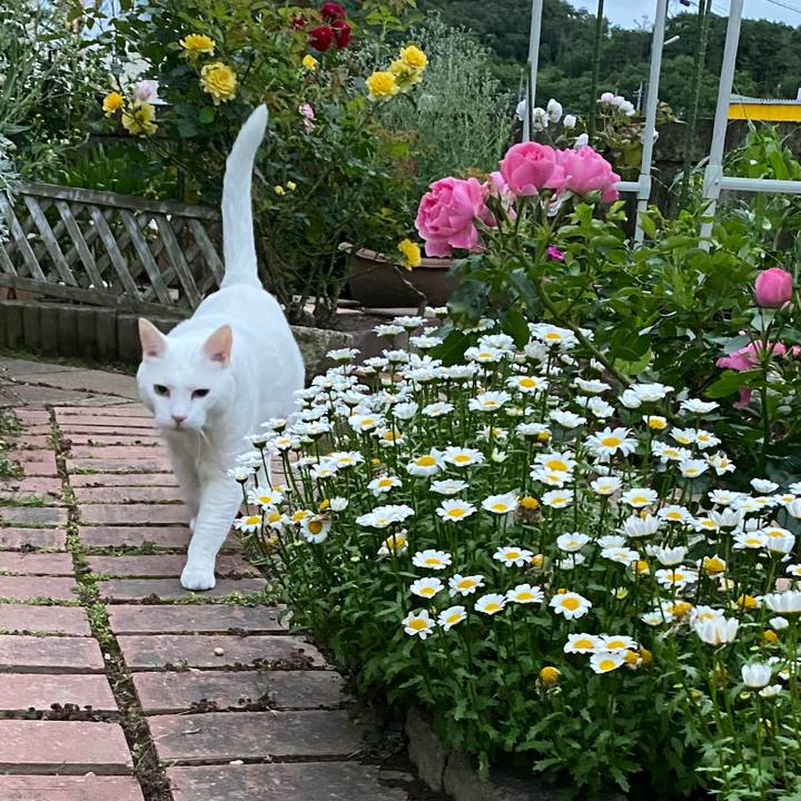 Bf43beb9 5ce4 4692 b6f0 82117d6ad2f9 1589885802576