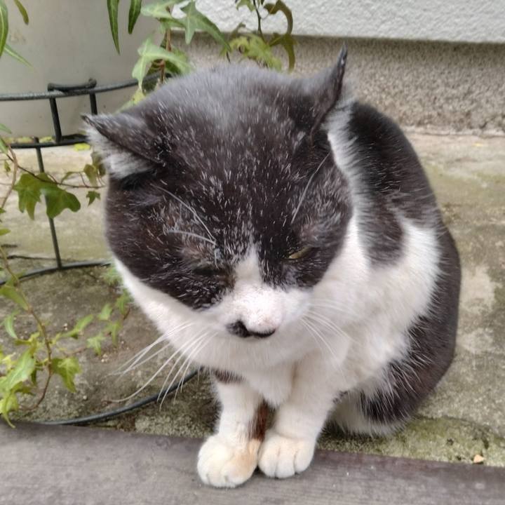 Bf44625c ddfe 4edb b1d8 7fe2eb1037ce 1704930691504