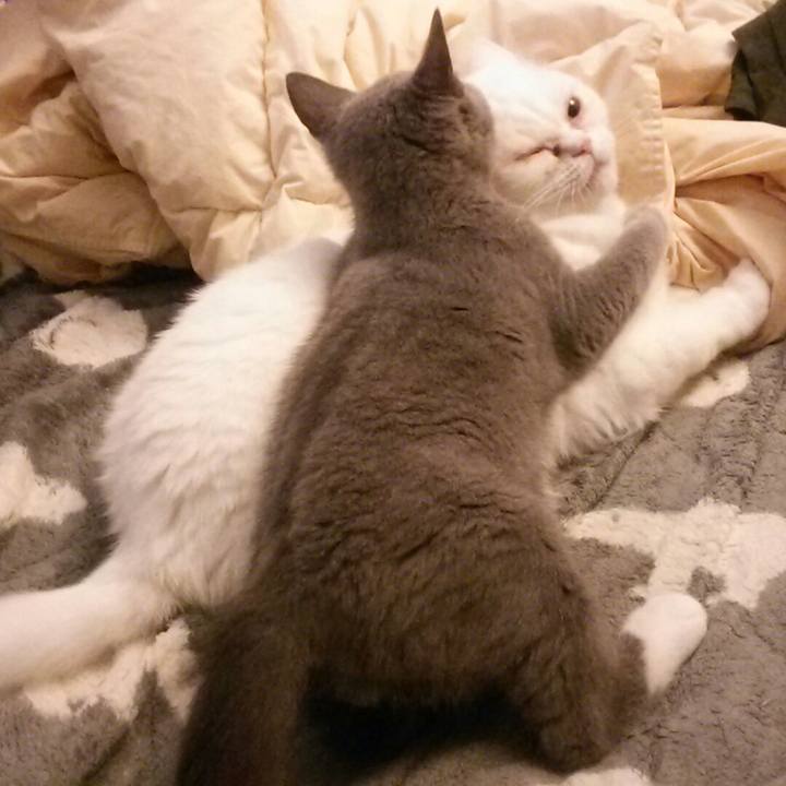 Bf4476b2 3db2 4970 9f18 09691aba94d1 1535275376115