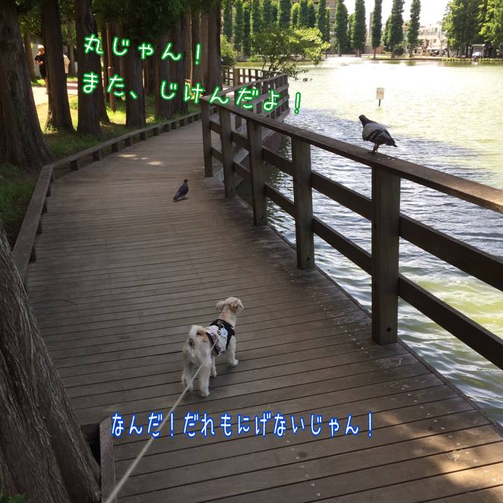 Bf447b3d 7aca 4d80 8983 d502c2aaa326 1534306825904