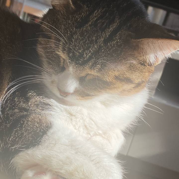 Bf44c5b9 b019 4adb bf26 4d24c1ba7c99 1704510007483