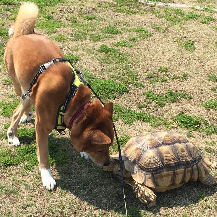 Bf44c6c5 7032 40ee bf89 0343838d5fb2 1616856490276