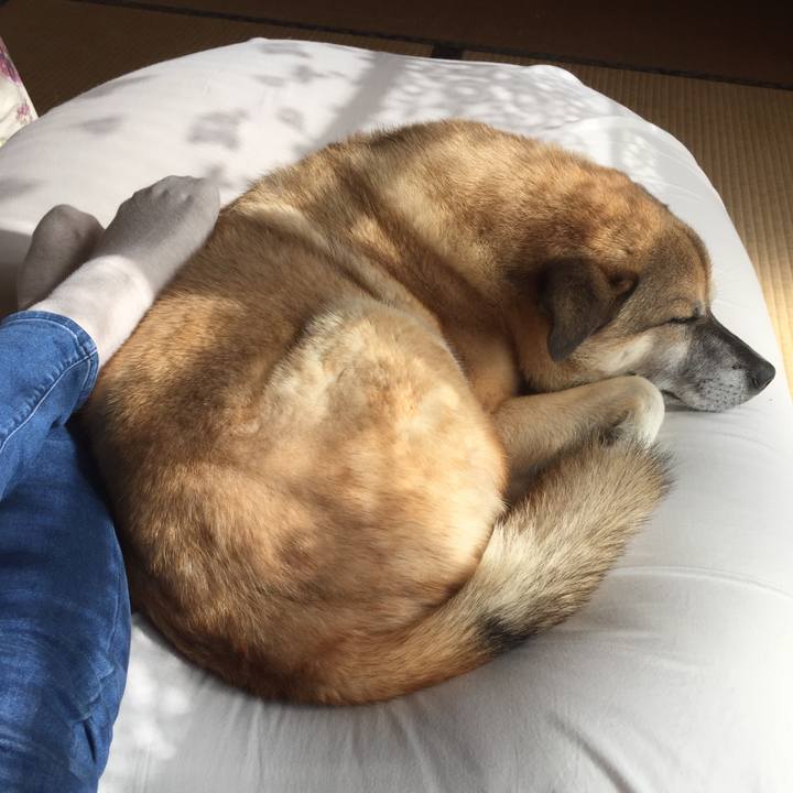 Bf450074 f86c 428d 9119 c9065ba01081 1573041881839