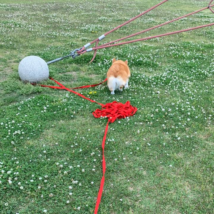 Bf450802 0ebf 4102 8448 1990d539f046 1557890268277