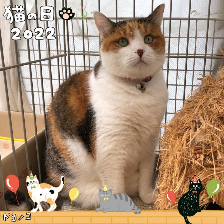 Bf4523c8 8a7e 4948 890e 49e50174e165 1645531308674