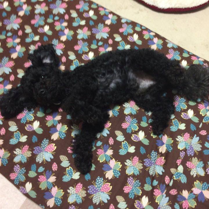 Bf455456 d69a 4e39 a567 0ac3240e322d 1525754956679