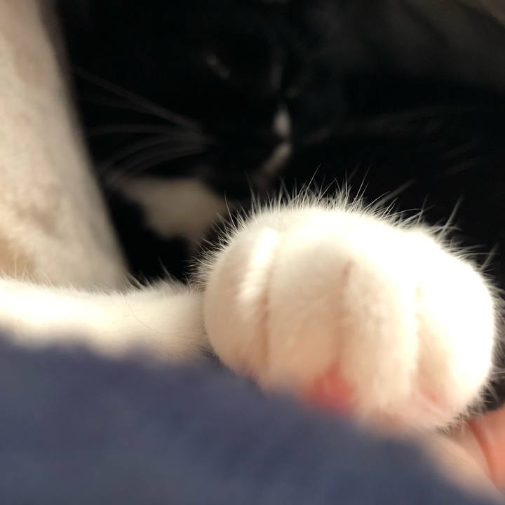 Bf458044 c333 44f2 bbcc ed2548efae09 1547162617546