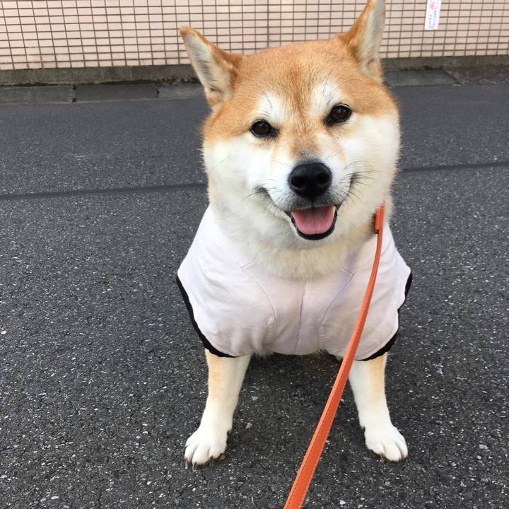 Bf459e26 2bd4 4f2b aa06 035fb6dcd034 1569887918219