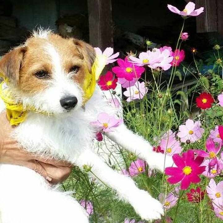 Bf45b825 4d04 4c06 a5f4 01f238ee1c82 1537748499536