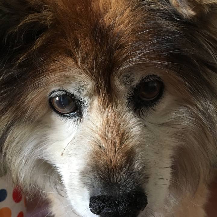 Bf45c29b 19ea 469c 8573 5394dc559693 1564014144593